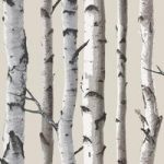 Fine Decor Wallpaper – Birch Tree Effect – Bathroom & Kitchen